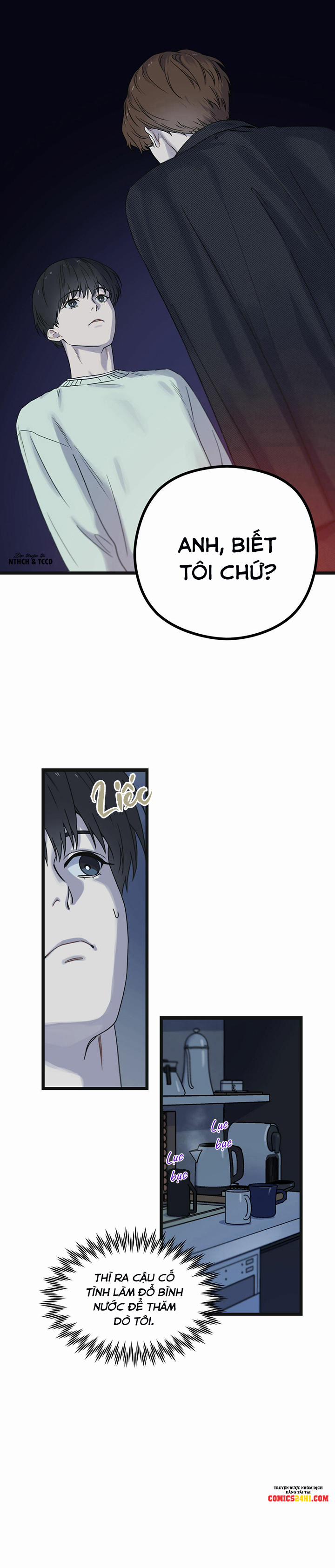 Trùng Phùng 12 trang 1