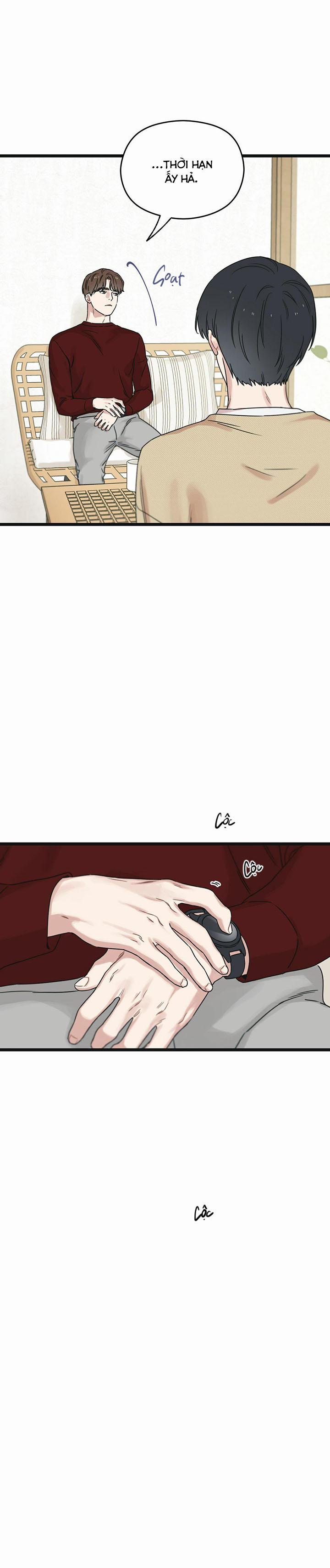 Trùng Phùng 14 trang 11