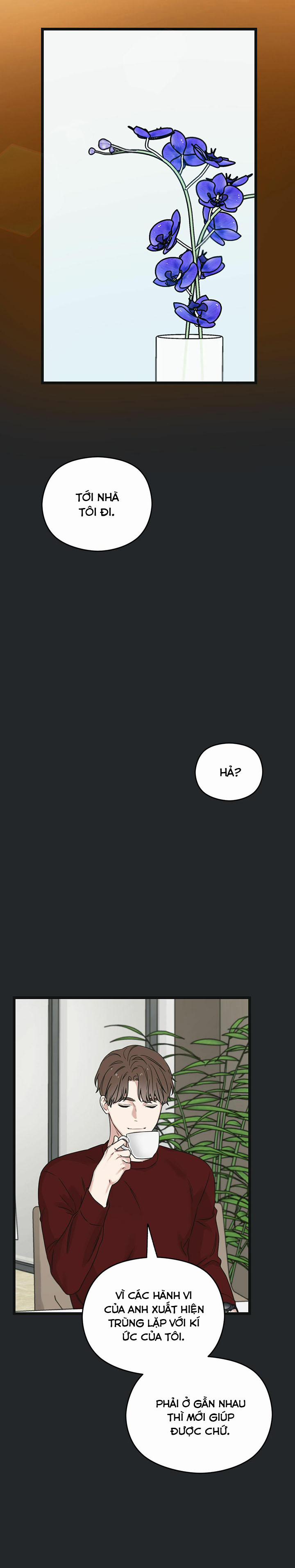 Trùng Phùng 14 trang 38