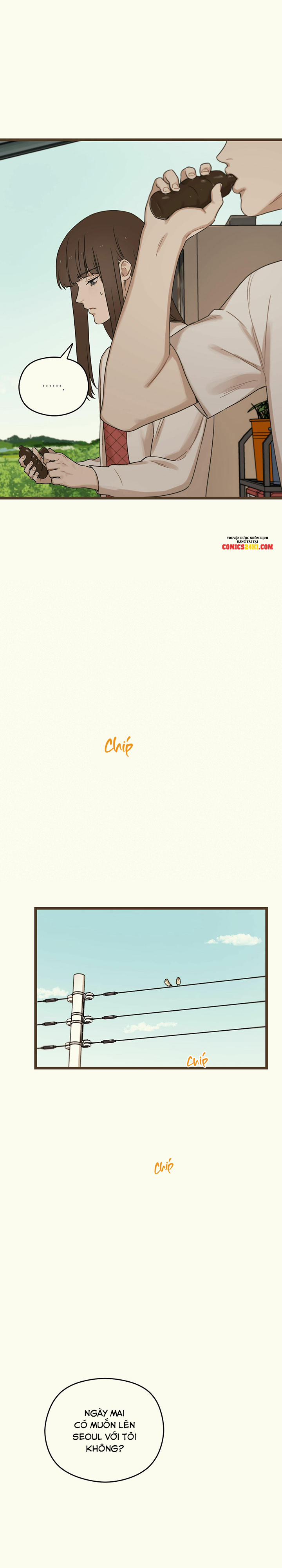 Trùng Phùng 15 trang 31