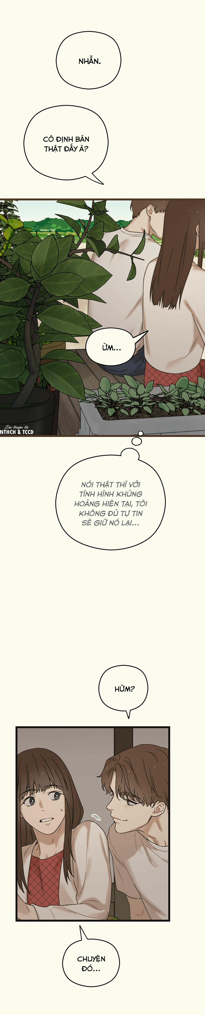 Trùng Phùng 15 trang 38