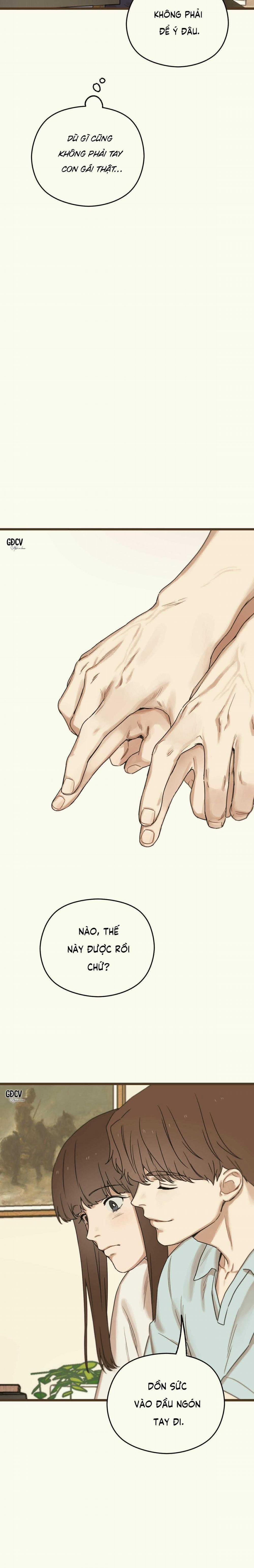 Trùng Phùng 16 trang 19