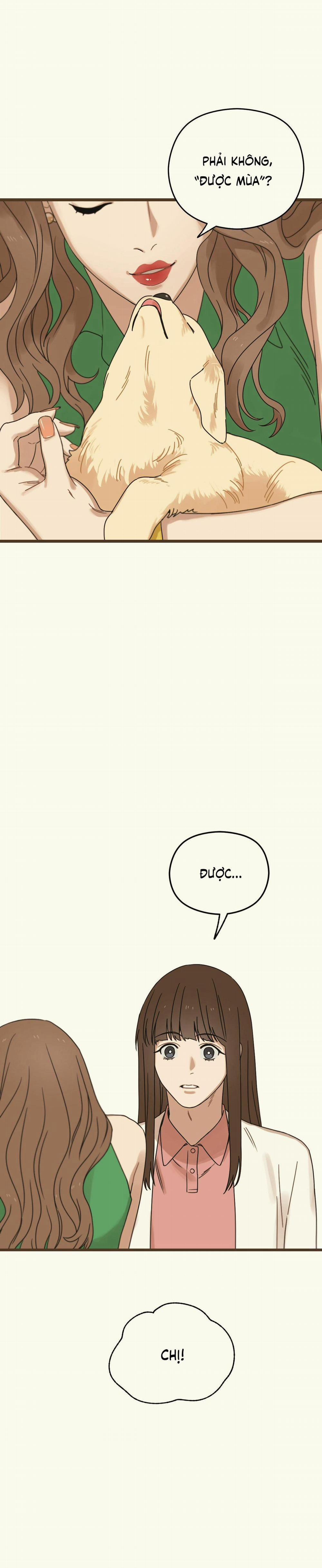 Trùng Phùng 18 trang 12