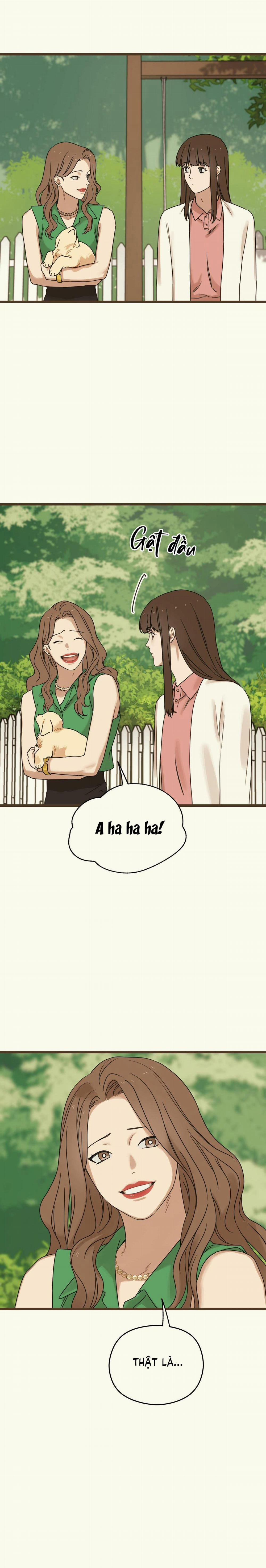 Trùng Phùng 18 trang 16