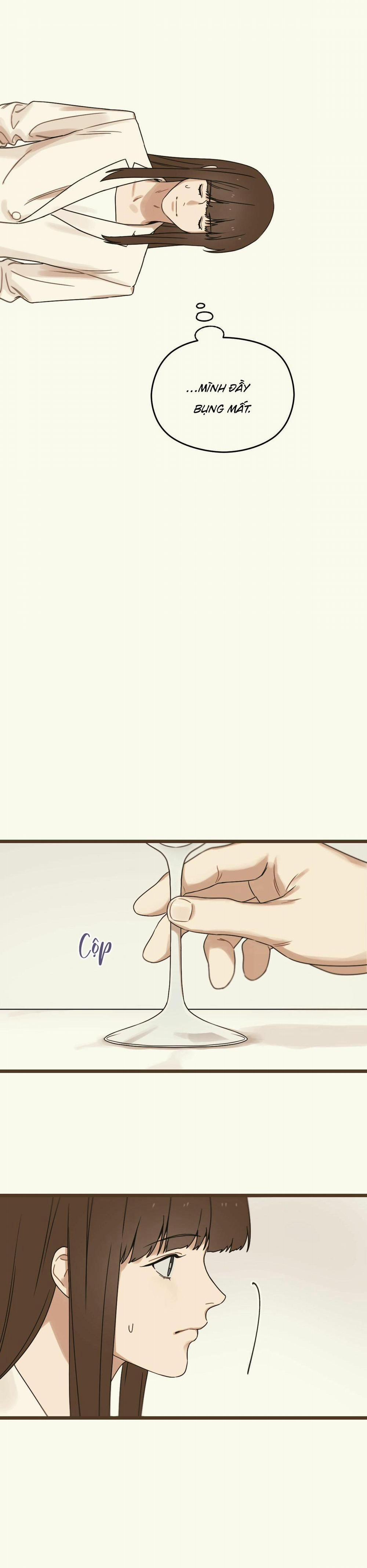 Trùng Phùng 18 trang 19