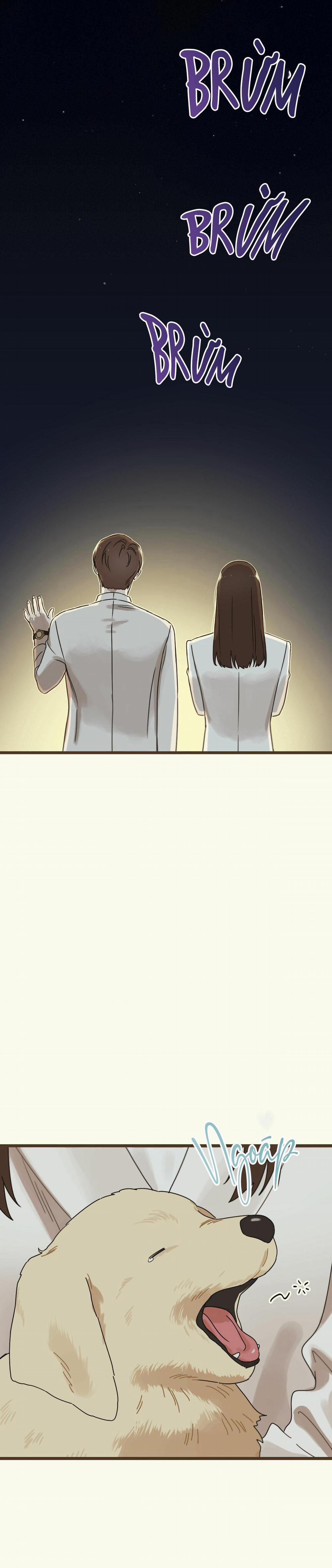 Trùng Phùng 18 trang 30