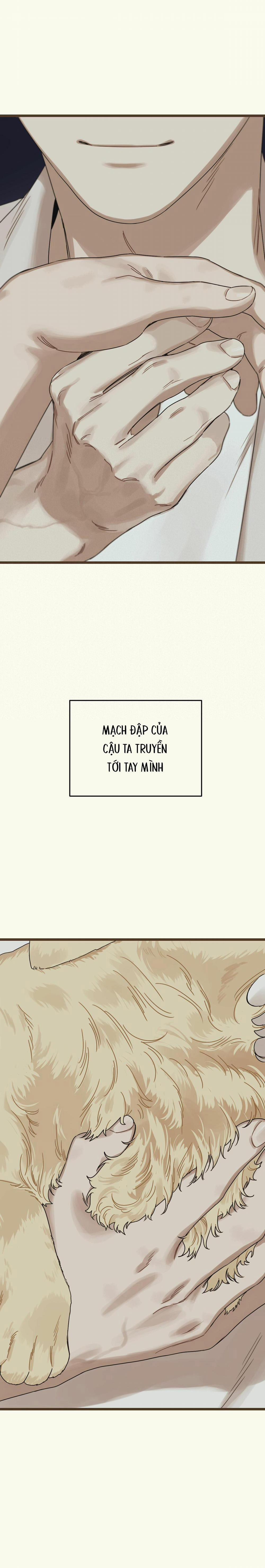 Trùng Phùng 18 trang 37