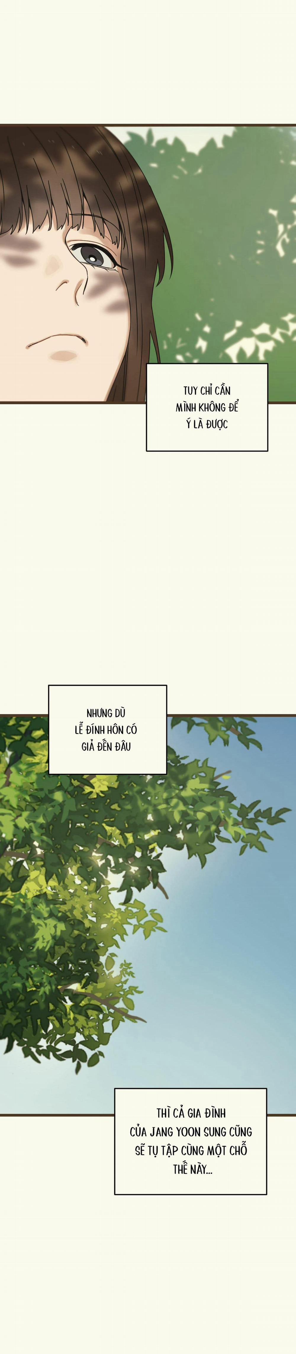 Trùng Phùng 18 trang 4