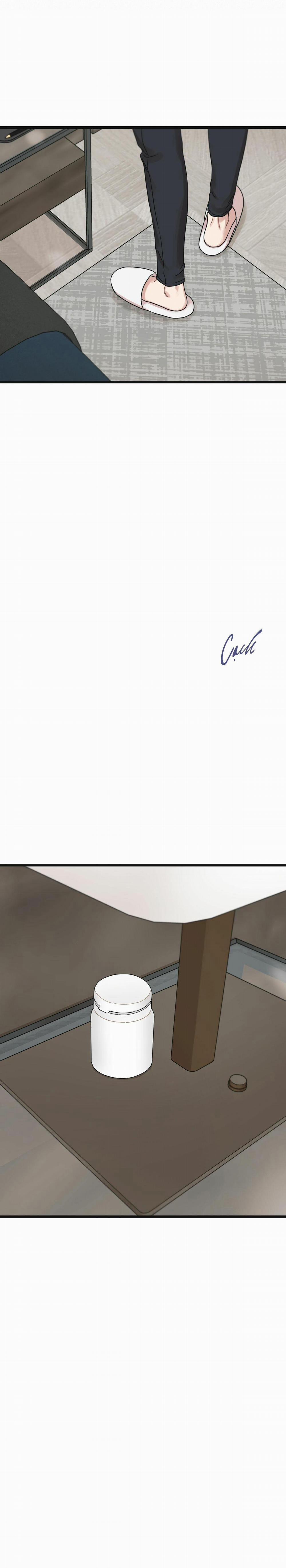 Trùng Phùng 20 trang 8