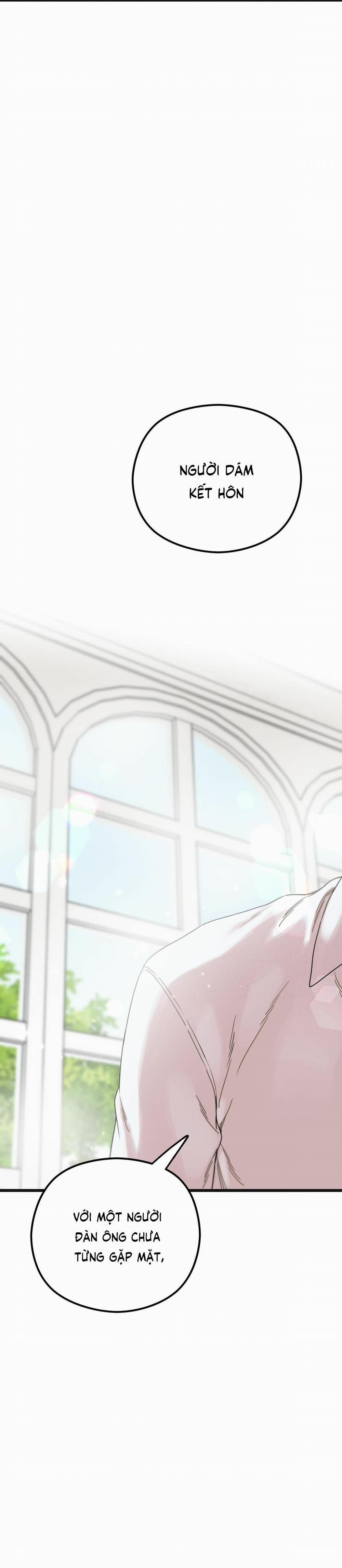 Trùng Phùng 21 trang 14