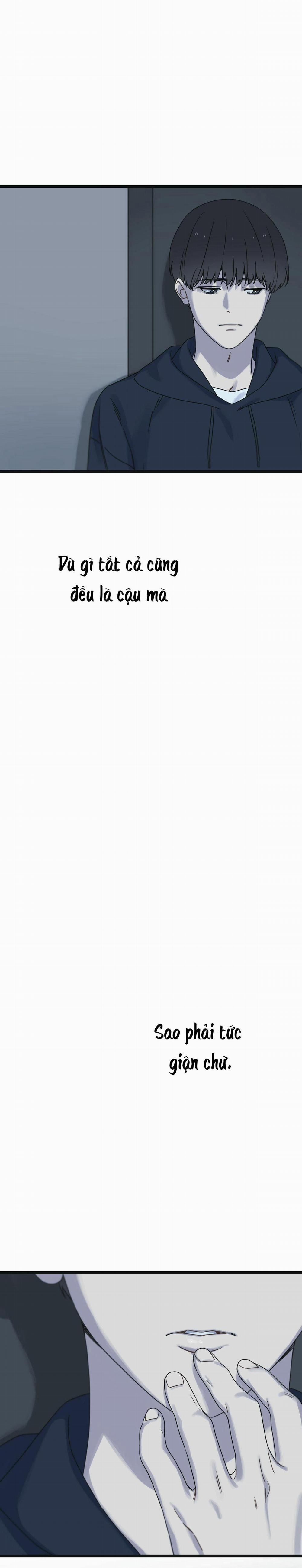 Trùng Phùng 21 trang 32