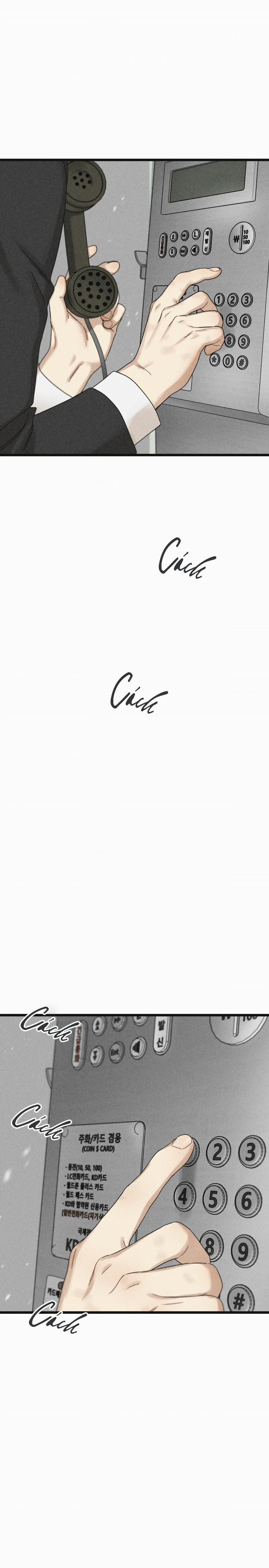 Trùng Phùng 21 trang 5