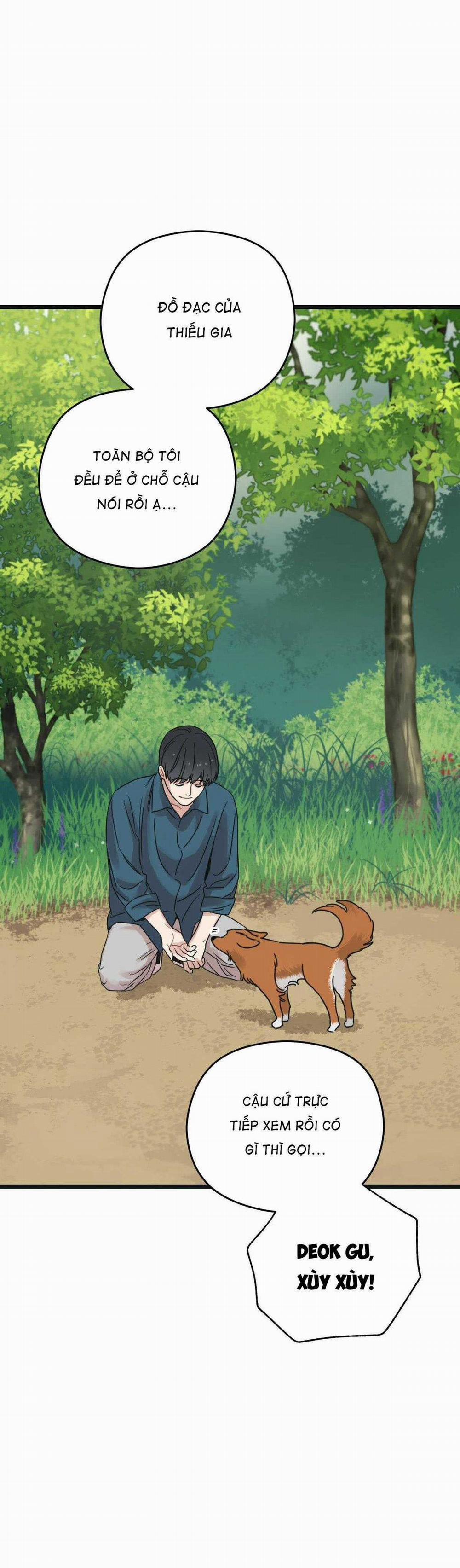 Trùng Phùng 24 trang 64