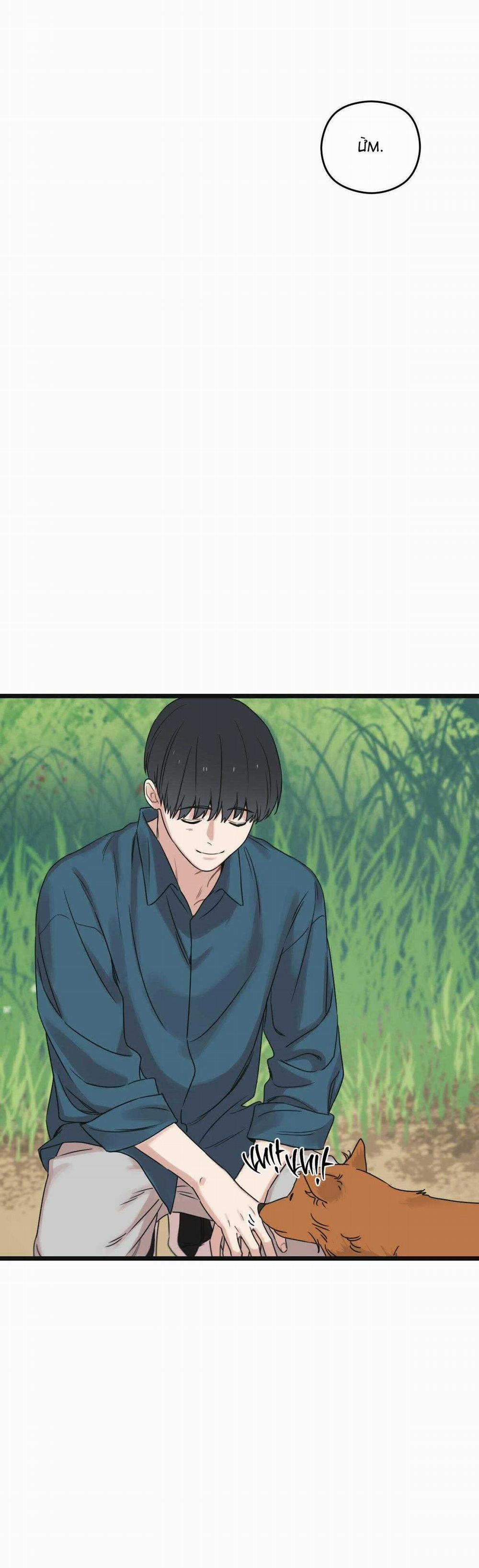 Trùng Phùng 24 trang 66