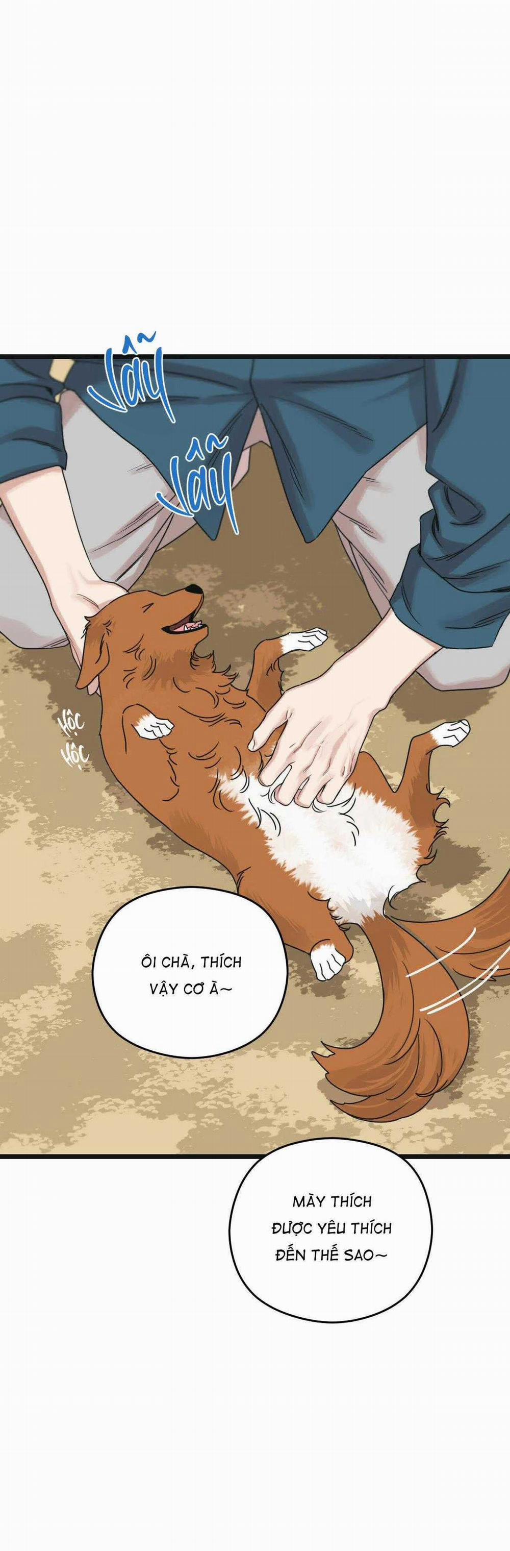 Trùng Phùng 24 trang 67