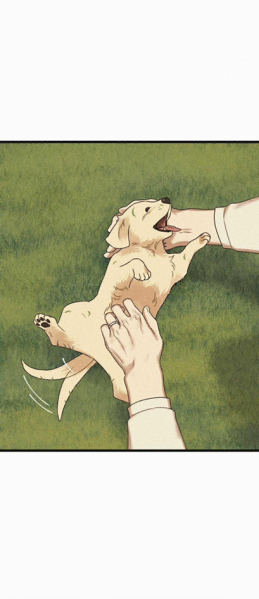 Trùng Phùng 24 trang 70