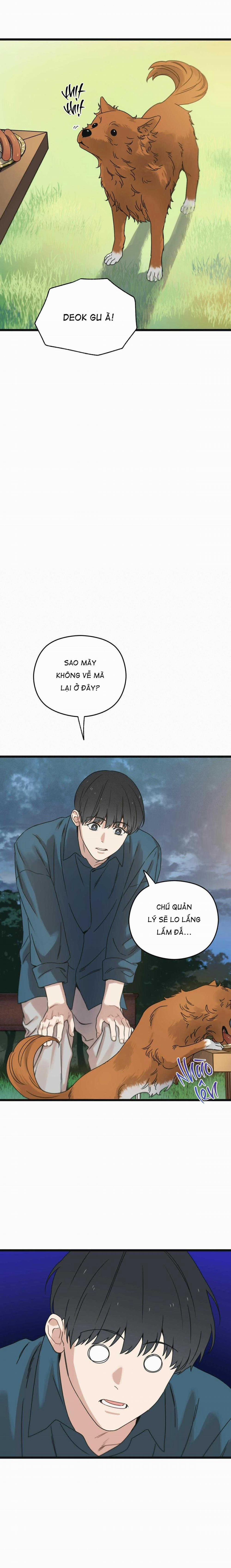 Trùng Phùng 25 trang 23