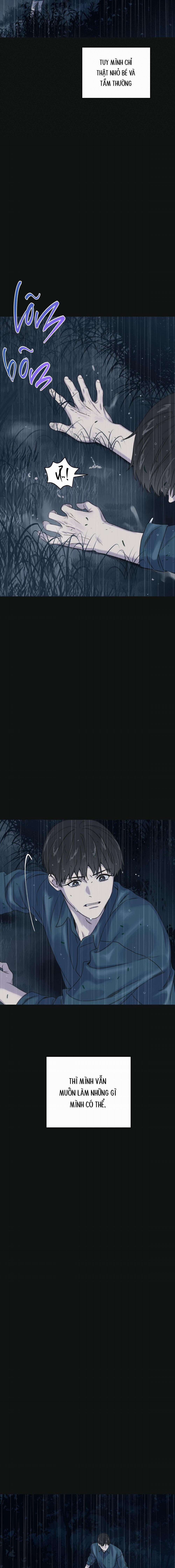 Trùng Phùng 26 END SS1 trang 11