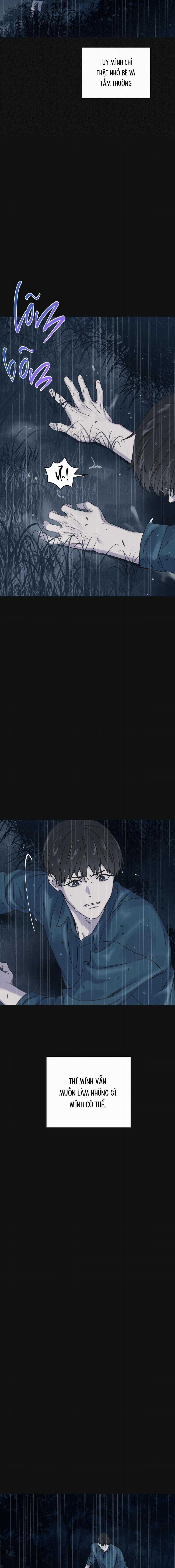 Trùng Phùng 26 trang 11