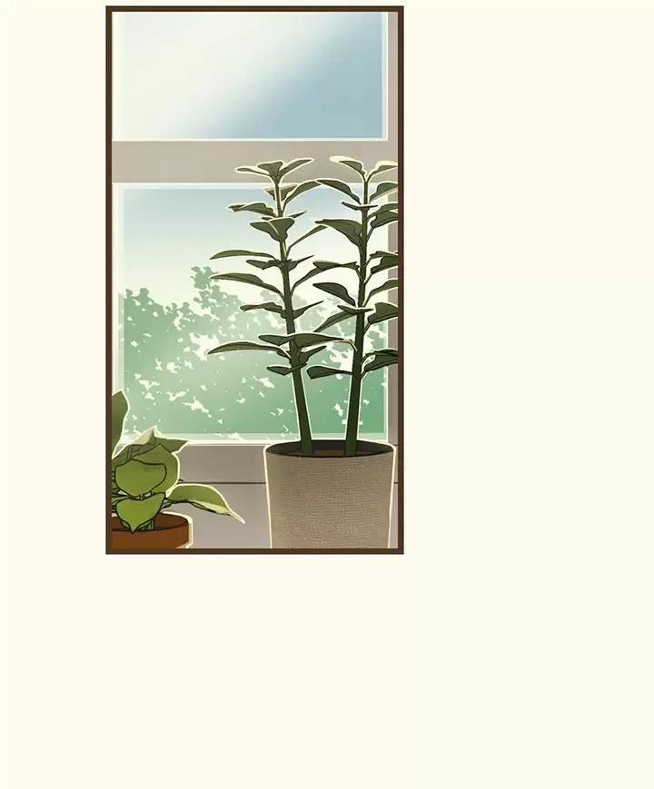 Trùng Phùng 3.5 trang 0