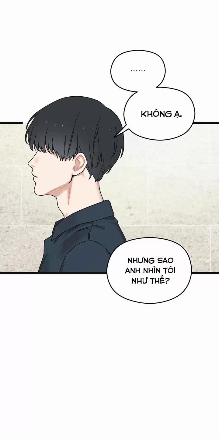 Trùng Phùng 5.5 trang 31