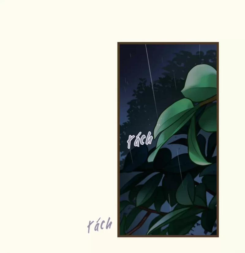 Trùng Phùng 8.5 trang 15