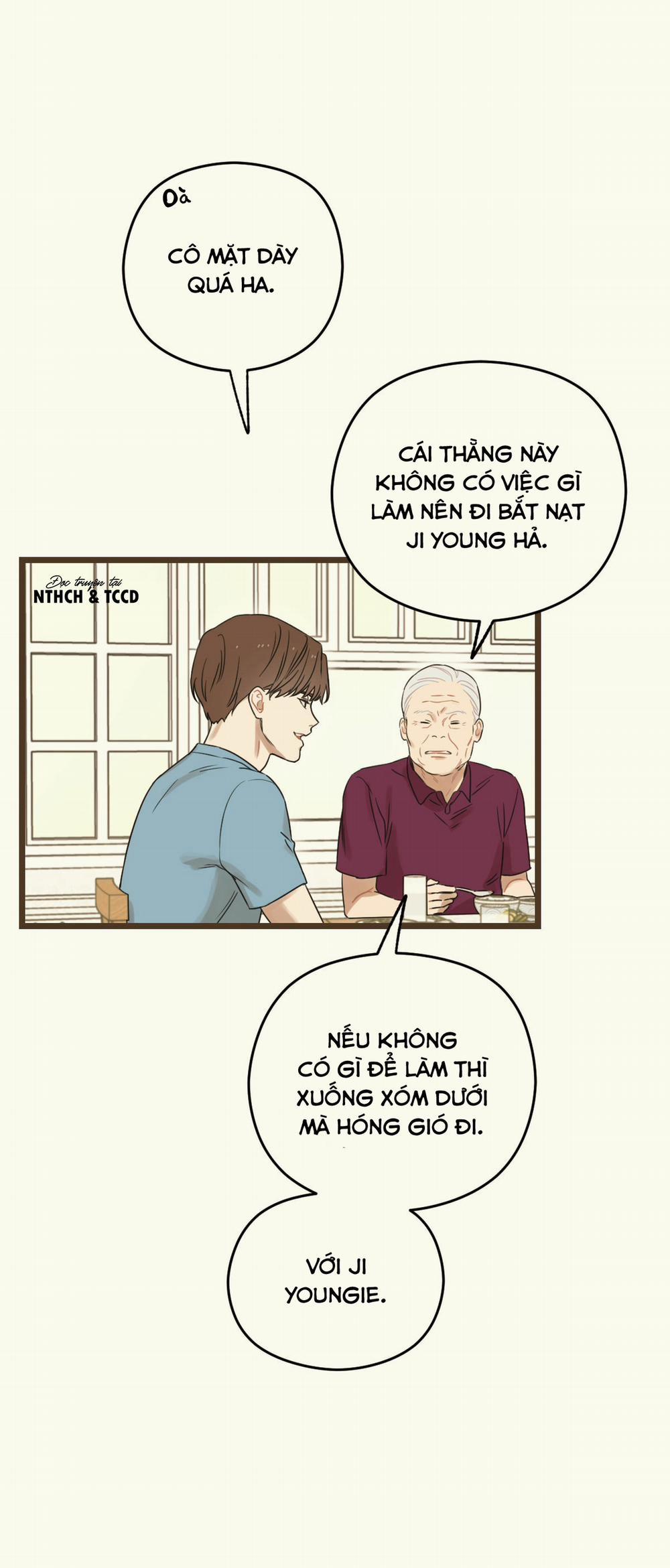 Trùng Phùng 8 trang 13