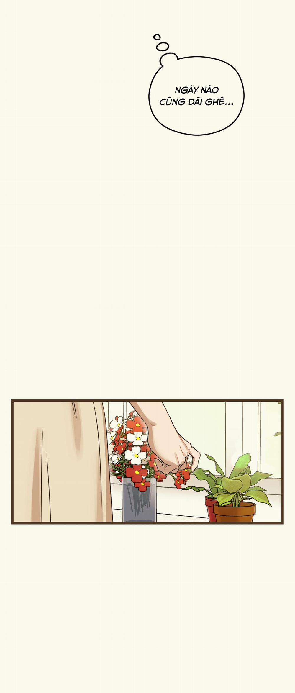 Trùng Phùng 8 trang 3