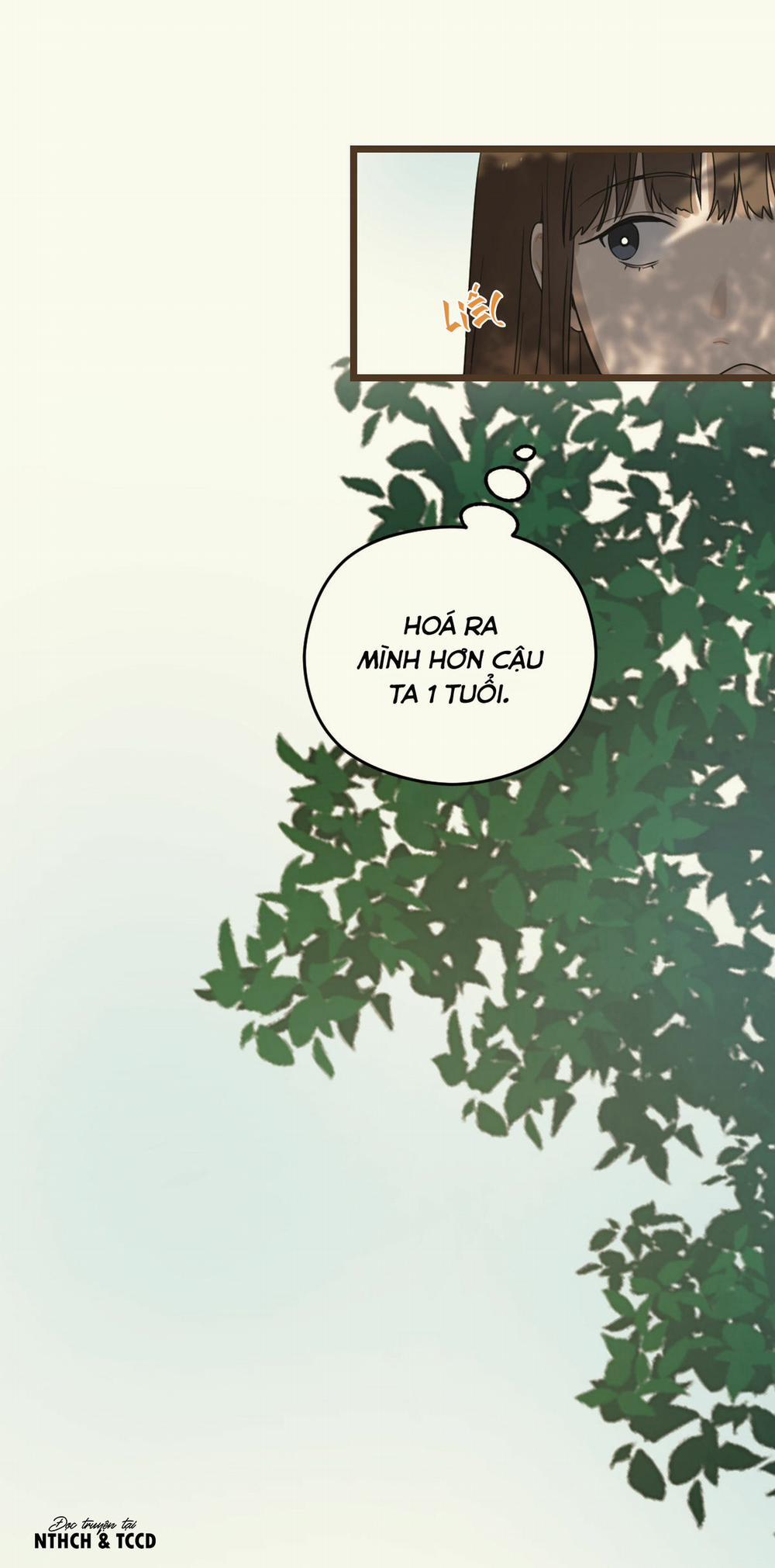 Trùng Phùng 8 trang 39