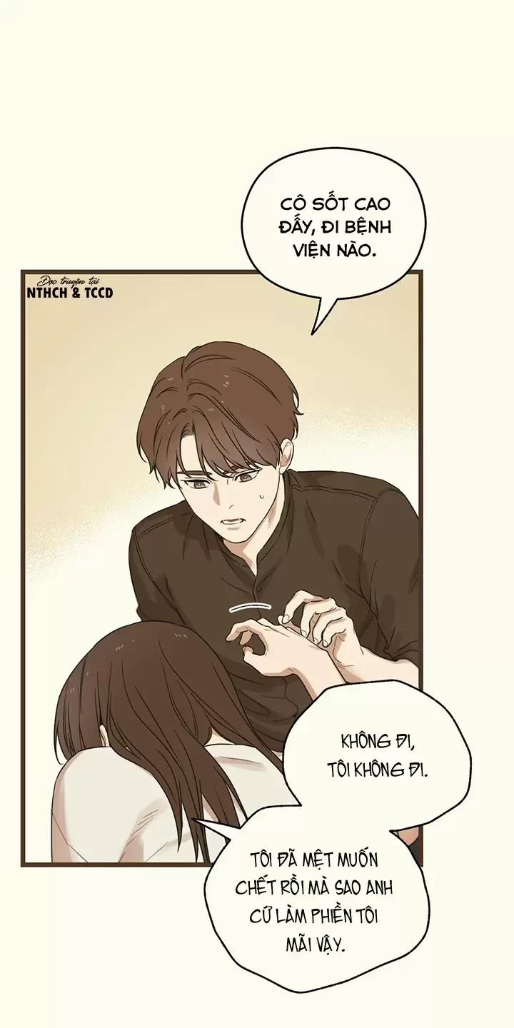 Trùng Phùng 9.5 trang 20