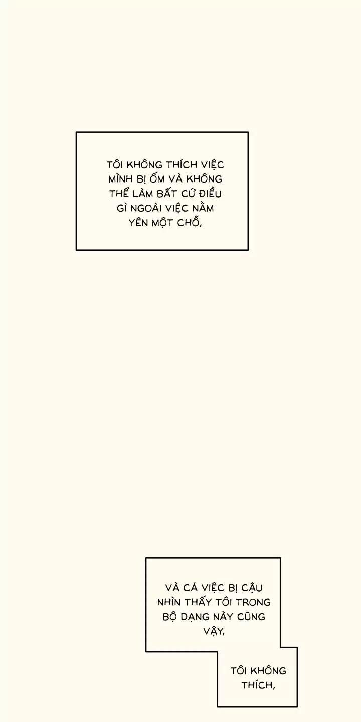 Trùng Phùng 9.5 trang 23