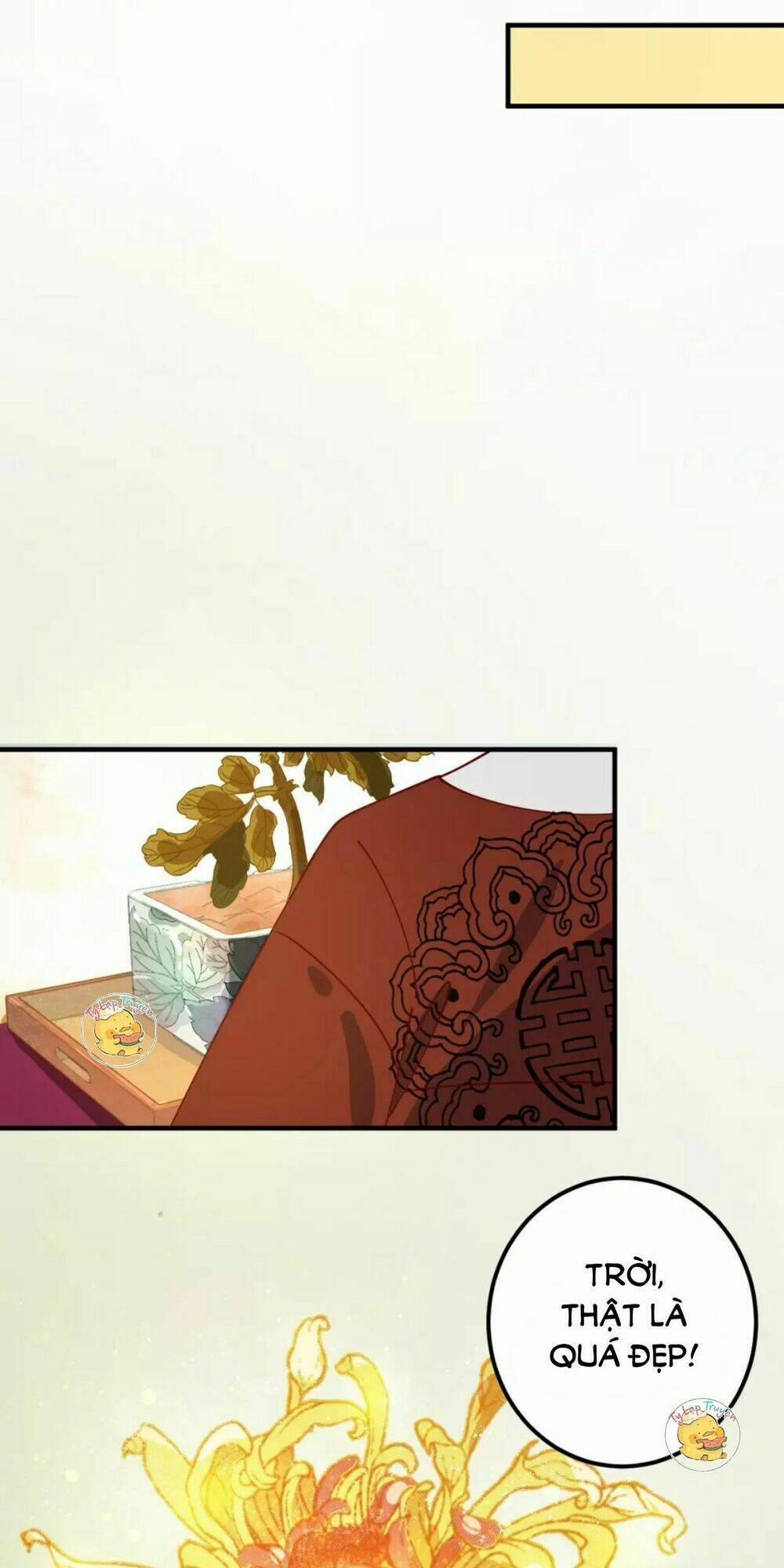 Trùng Sinh Chuyên Sủng Độc Phi Của Nhiếp Chính Vương 16 trang 17