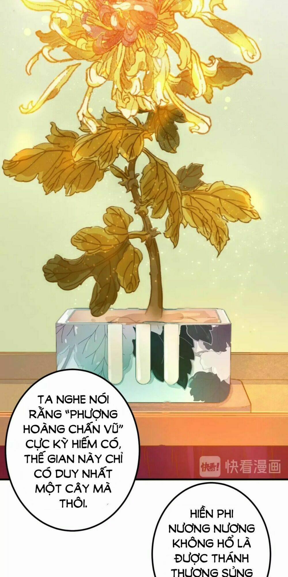 Trùng Sinh Chuyên Sủng Độc Phi Của Nhiếp Chính Vương 16 trang 18