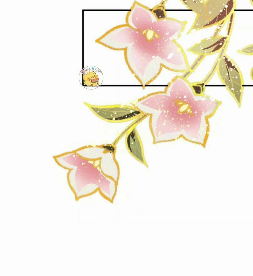 Trùng Sinh Chuyên Sủng Độc Phi Của Nhiếp Chính Vương 17 trang 20