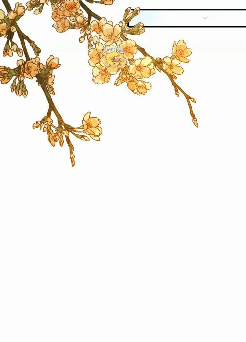 Trùng Sinh Chuyên Sủng Độc Phi Của Nhiếp Chính Vương 25 trang 13