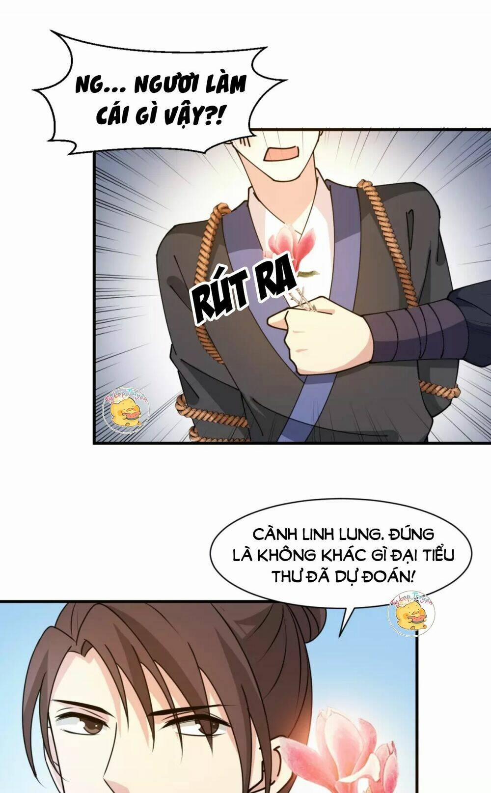 Trùng Sinh Chuyên Sủng Độc Phi Của Nhiếp Chính Vương 33 trang 13