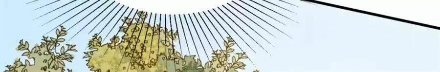 Trùng Sinh Chuyên Sủng Độc Phi Của Nhiếp Chính Vương 35 trang 14