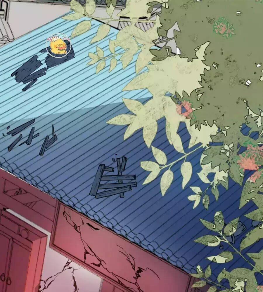 Trùng Sinh Chuyên Sủng Độc Phi Của Nhiếp Chính Vương 35 trang 46