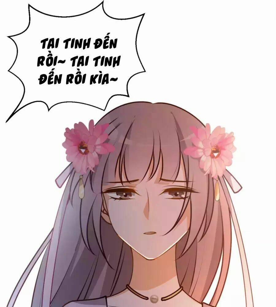 Trùng Sinh Chuyên Sủng Độc Phi Của Nhiếp Chính Vương 35 trang 8