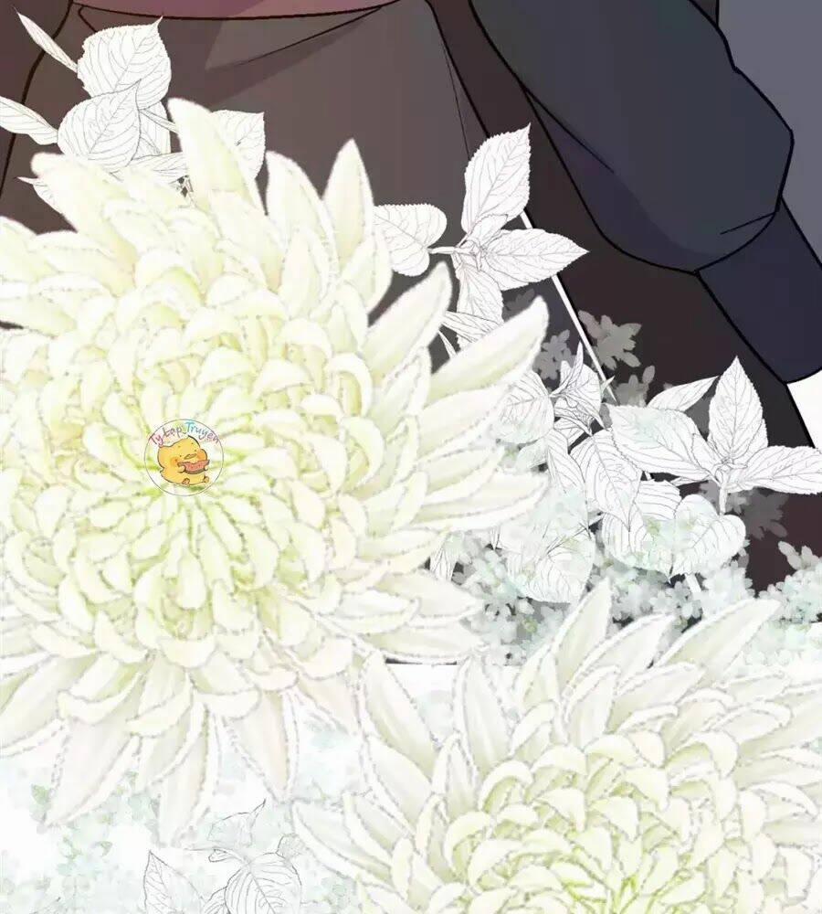 Trùng Sinh Chuyên Sủng Độc Phi Của Nhiếp Chính Vương 39 trang 32