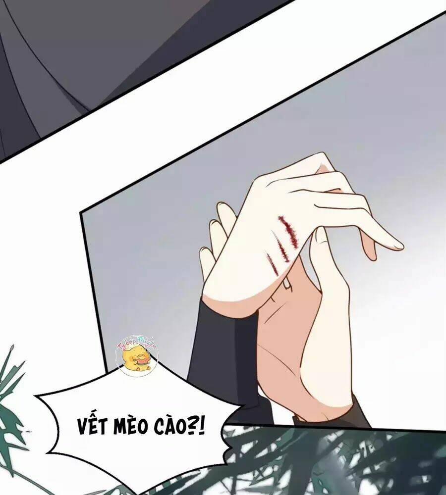 Trùng Sinh Chuyên Sủng Độc Phi Của Nhiếp Chính Vương 39 trang 73