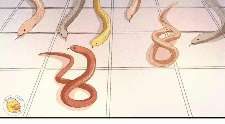 Trùng Sinh Chuyên Sủng Độc Phi Của Nhiếp Chính Vương 40 trang 55