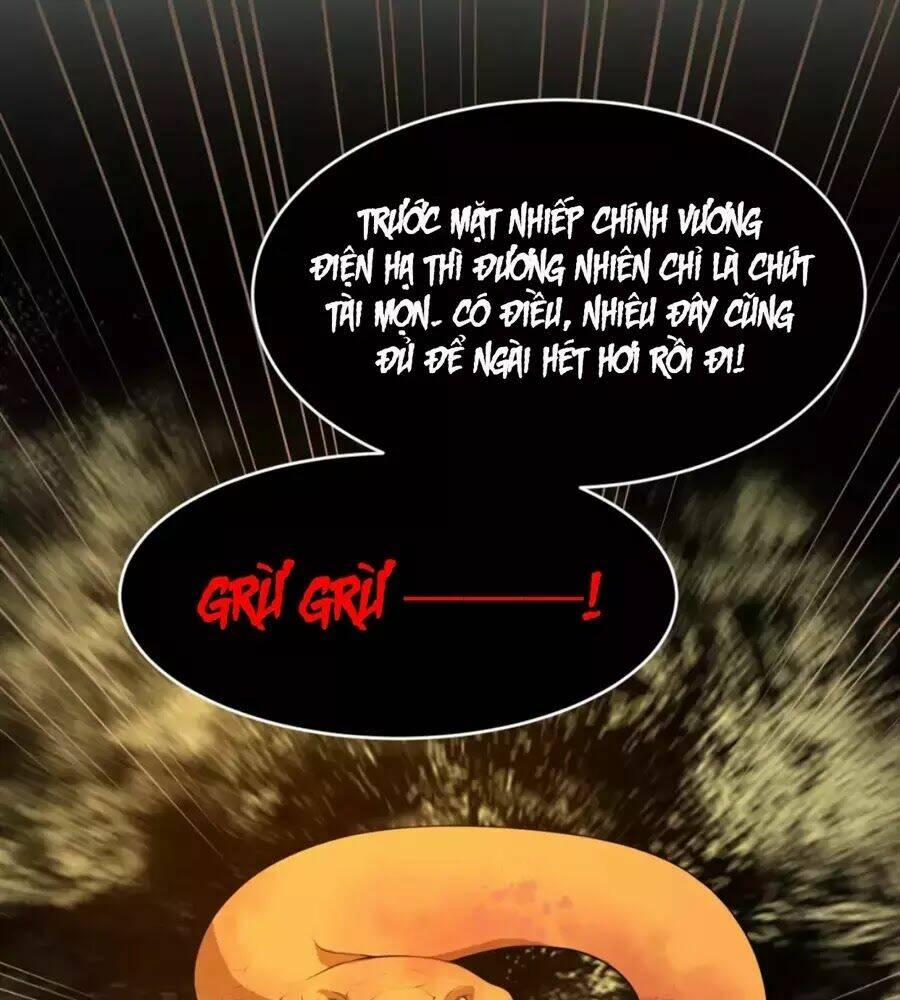 Trùng Sinh Chuyên Sủng Độc Phi Của Nhiếp Chính Vương 41 trang 11