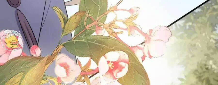 Trùng Sinh Chuyên Sủng Độc Phi Của Nhiếp Chính Vương 41 trang 15