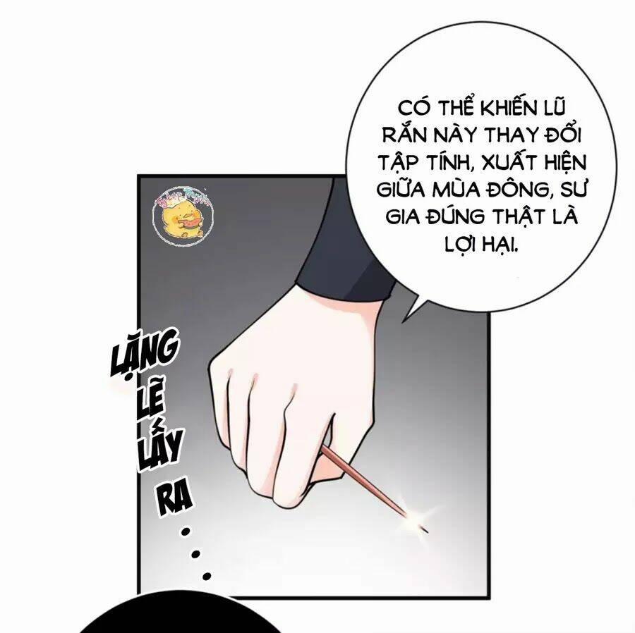 Trùng Sinh Chuyên Sủng Độc Phi Của Nhiếp Chính Vương 41 trang 19