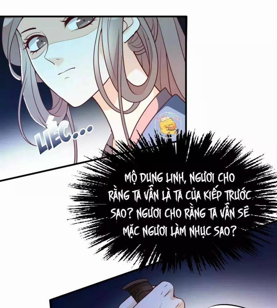 Trùng Sinh Chuyên Sủng Độc Phi Của Nhiếp Chính Vương 46 trang 13