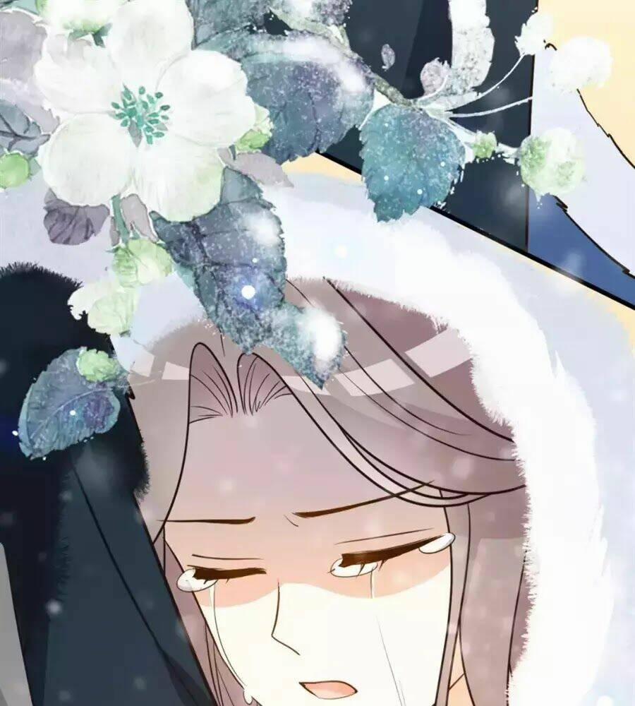 Trùng Sinh Chuyên Sủng Độc Phi Của Nhiếp Chính Vương 47 trang 19