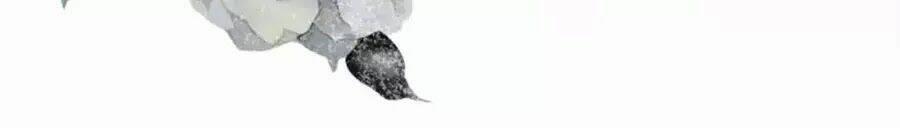 Trùng Sinh Chuyên Sủng Độc Phi Của Nhiếp Chính Vương 47 trang 38