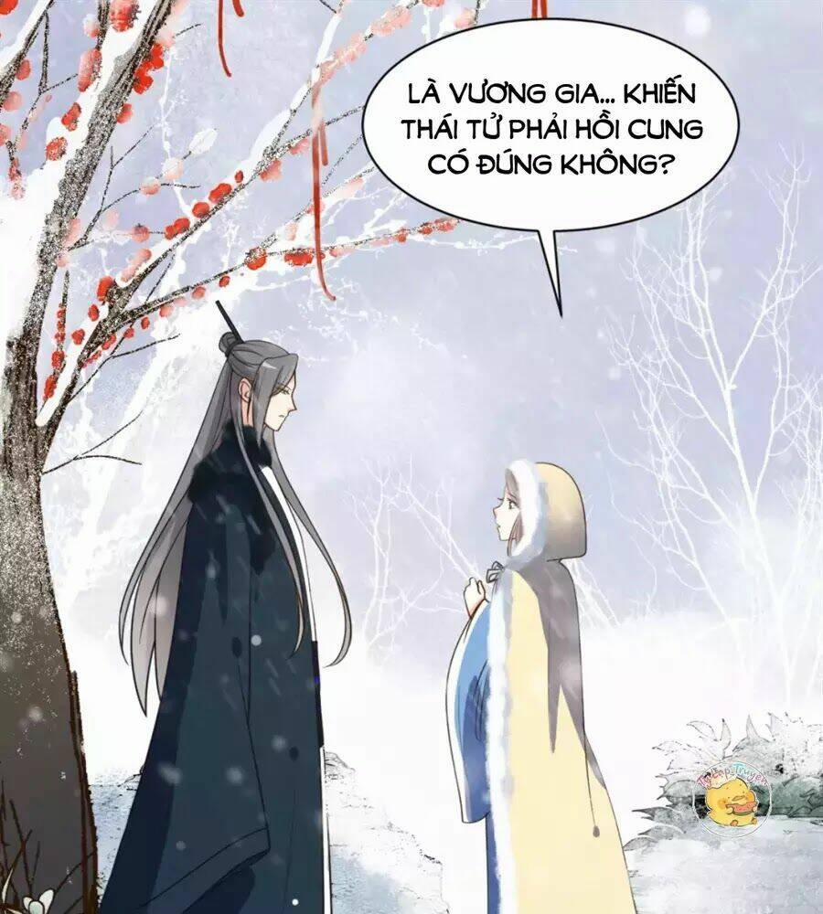 Trùng Sinh Chuyên Sủng Độc Phi Của Nhiếp Chính Vương 47 trang 7