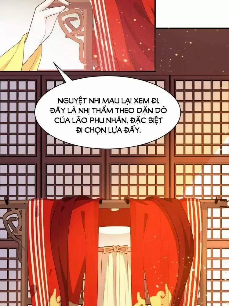 Trùng Sinh Chuyên Sủng Độc Phi Của Nhiếp Chính Vương 48 trang 11